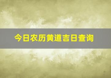 今日农历黄道吉日查询