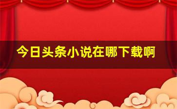 今日头条小说在哪下载啊