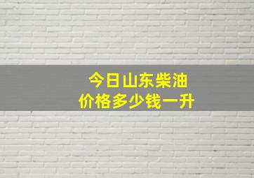 今日山东柴油价格多少钱一升