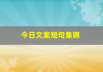 今日文案短句集锦