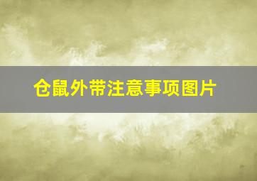 仓鼠外带注意事项图片