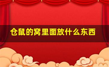 仓鼠的窝里面放什么东西