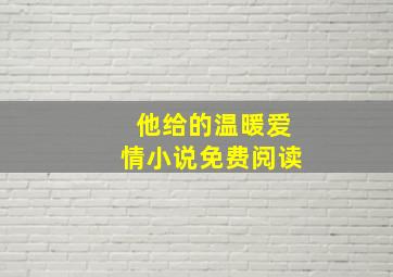 他给的温暖爱情小说免费阅读