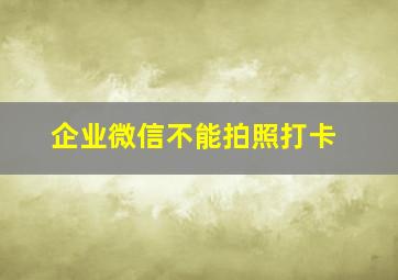 企业微信不能拍照打卡