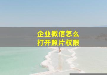 企业微信怎么打开照片权限