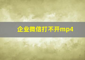 企业微信打不开mp4