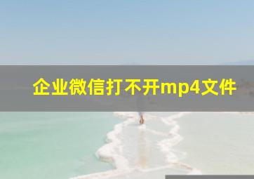 企业微信打不开mp4文件