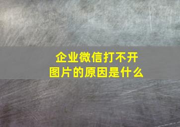 企业微信打不开图片的原因是什么