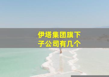 伊塔集团旗下子公司有几个