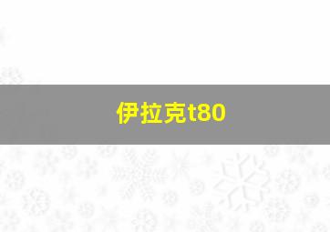 伊拉克t80