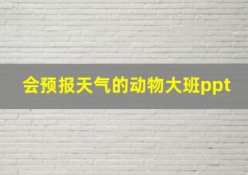 会预报天气的动物大班ppt