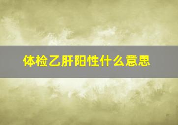 体检乙肝阳性什么意思