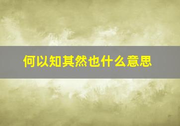 何以知其然也什么意思