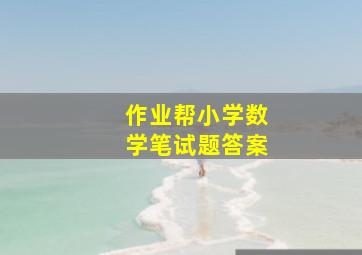 作业帮小学数学笔试题答案