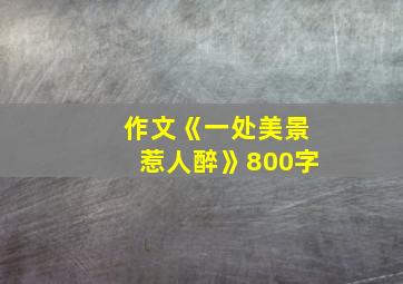 作文《一处美景惹人醉》800字