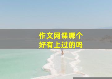 作文网课哪个好有上过的吗