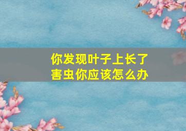 你发现叶子上长了害虫你应该怎么办