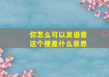 你怎么可以发语音这个梗是什么意思