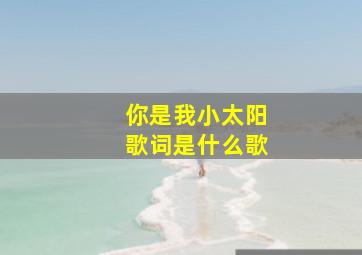 你是我小太阳歌词是什么歌