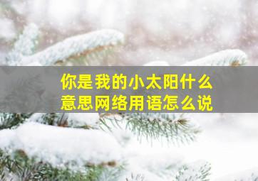 你是我的小太阳什么意思网络用语怎么说