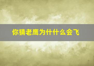 你猜老鹰为什什么会飞