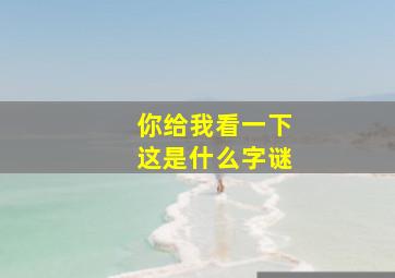 你给我看一下这是什么字谜