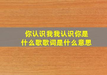 你认识我我认识你是什么歌歌词是什么意思