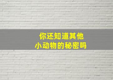 你还知道其他小动物的秘密吗