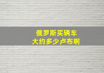 俄罗斯买辆车大约多少卢布啊