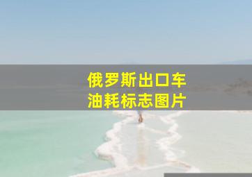 俄罗斯出口车油耗标志图片