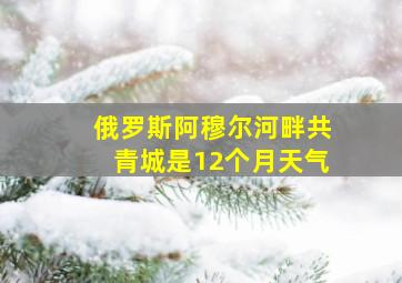 俄罗斯阿穆尔河畔共青城是12个月天气