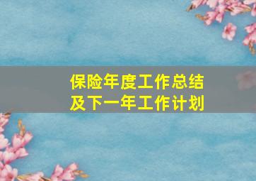 保险年度工作总结及下一年工作计划