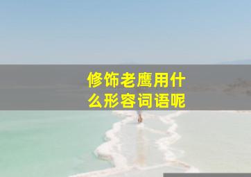 修饰老鹰用什么形容词语呢