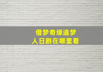 借梦奇缘追梦人日剧在哪里看