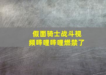 假面骑士战斗视频哔哩哔哩燃禁了