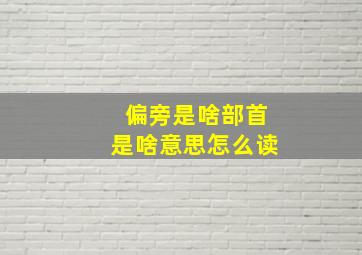 偏旁是啥部首是啥意思怎么读