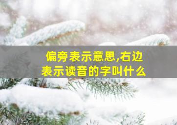 偏旁表示意思,右边表示读音的字叫什么