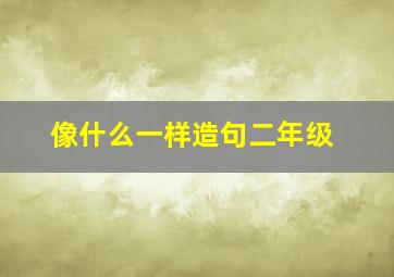 像什么一样造句二年级