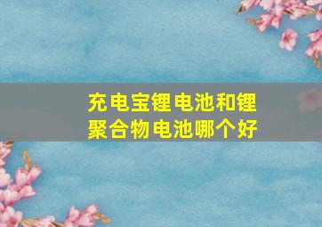 充电宝锂电池和锂聚合物电池哪个好