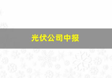 光伏公司中报