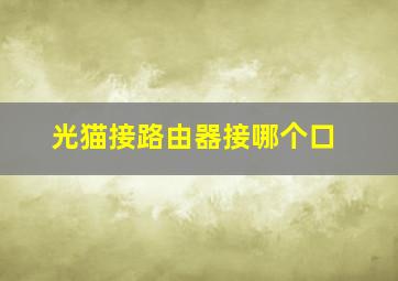 光猫接路由器接哪个口