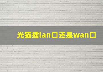 光猫插lan口还是wan口