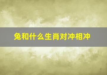 兔和什么生肖对冲相冲