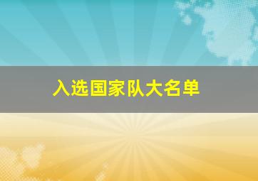 入选国家队大名单