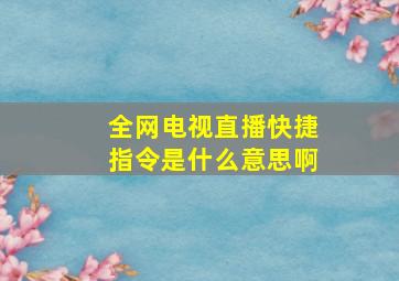 全网电视直播快捷指令是什么意思啊