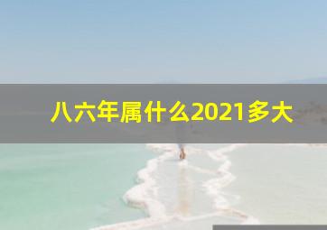 八六年属什么2021多大