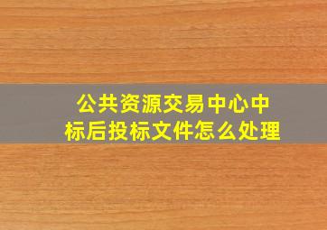 公共资源交易中心中标后投标文件怎么处理