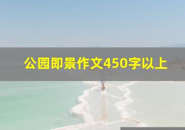 公园即景作文450字以上