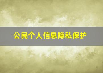 公民个人信息隐私保护