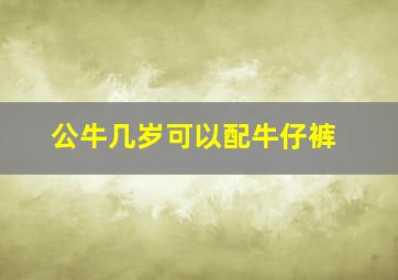 公牛几岁可以配牛仔裤